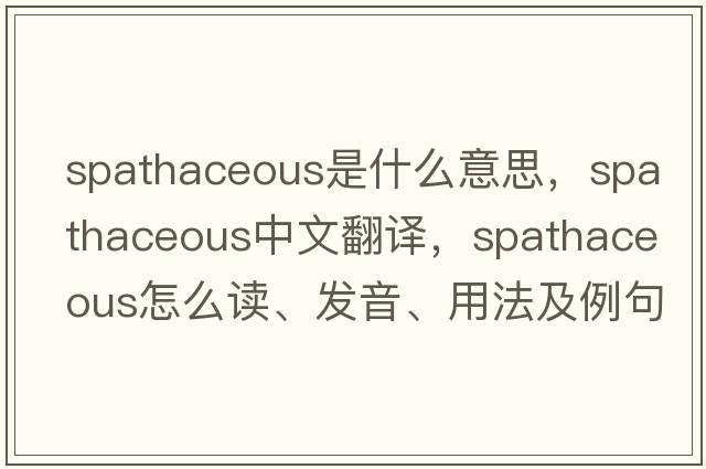 spathaceous是什么意思，spathaceous中文翻譯，spathaceous怎么讀、發(fā)音、用法及例句