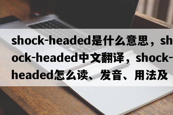 shock-headed是什么意思，shock-headed中文翻譯，shock-headed怎么讀、發(fā)音、用法及例句