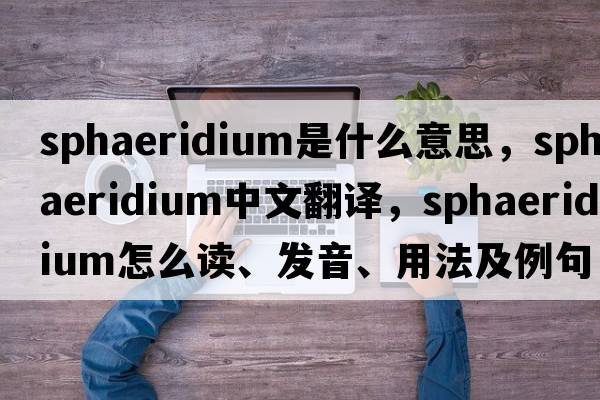 sphaeridium是什么意思，sphaeridium中文翻譯，sphaeridium怎么讀、發(fā)音、用法及例句