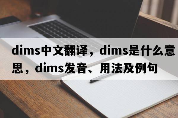 dims中文翻譯，dims是什么意思，dims發(fā)音、用法及例句