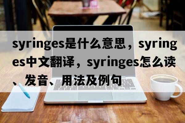 syringes是什么意思，syringes中文翻譯，syringes怎么讀、發(fā)音、用法及例句