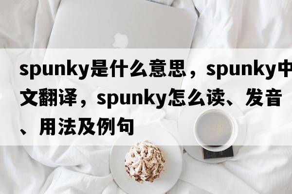 spunky是什么意思，spunky中文翻譯，spunky怎么讀、發(fā)音、用法及例句