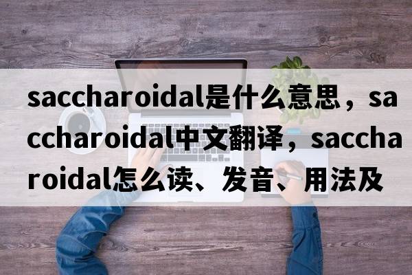 saccharoidal是什么意思，saccharoidal中文翻譯，saccharoidal怎么讀、發(fā)音、用法及例句