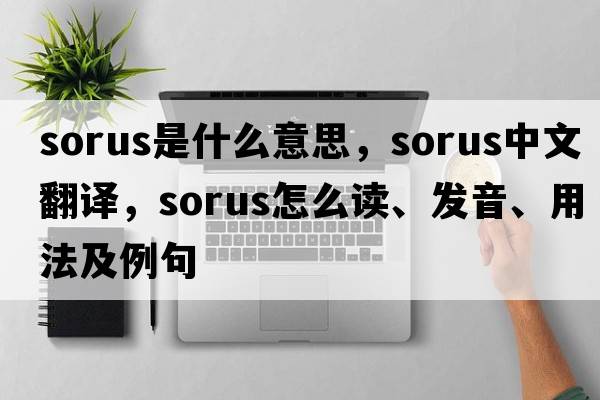 sorus是什么意思，sorus中文翻譯，sorus怎么讀、發(fā)音、用法及例句