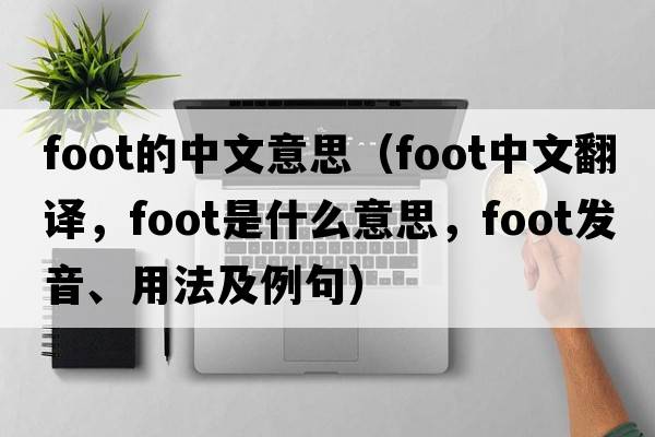 foot的中文意思（foot中文翻譯，foot是什么意思，foot發(fā)音、用法及例句）