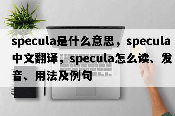 specula是什么意思，specula中文翻譯，specula怎么讀、發(fā)音、用法及例句
