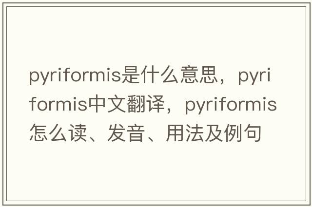 pyriformis是什么意思，pyriformis中文翻譯，pyriformis怎么讀、發(fā)音、用法及例句