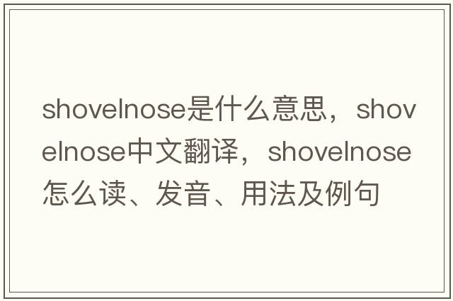 shovelnose是什么意思，shovelnose中文翻譯，shovelnose怎么讀、發(fā)音、用法及例句