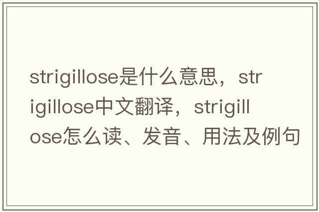 strigillose是什么意思，strigillose中文翻譯，strigillose怎么讀、發(fā)音、用法及例句