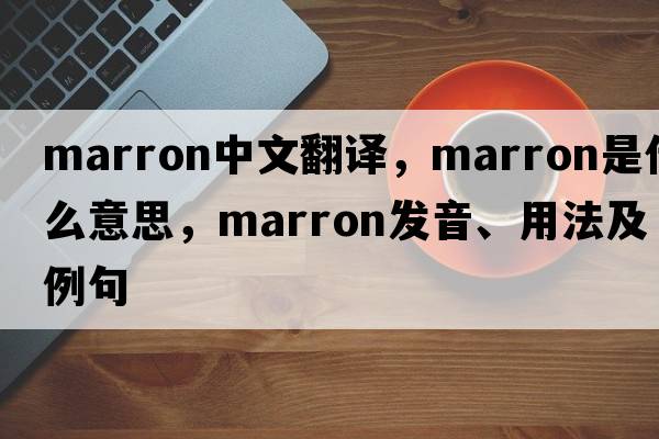 marron中文翻譯，marron是什么意思，marron發(fā)音、用法及例句