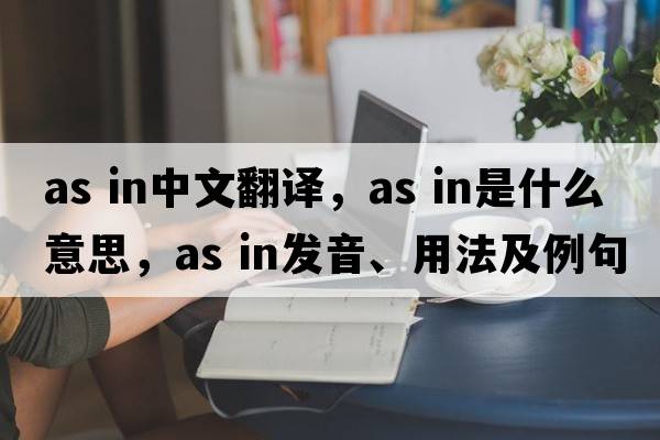as in中文翻譯，as in是什么意思，as in發(fā)音、用法及例句