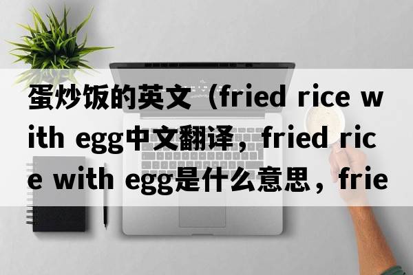 蛋炒飯的英文（fried rice with egg中文翻譯，fried rice with egg是什么意思，fried rice with egg發(fā)音、用法及例句）