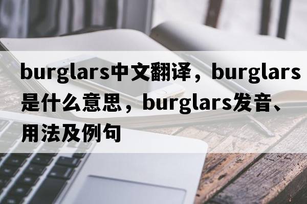 burglars中文翻譯，burglars是什么意思，burglars發(fā)音、用法及例句