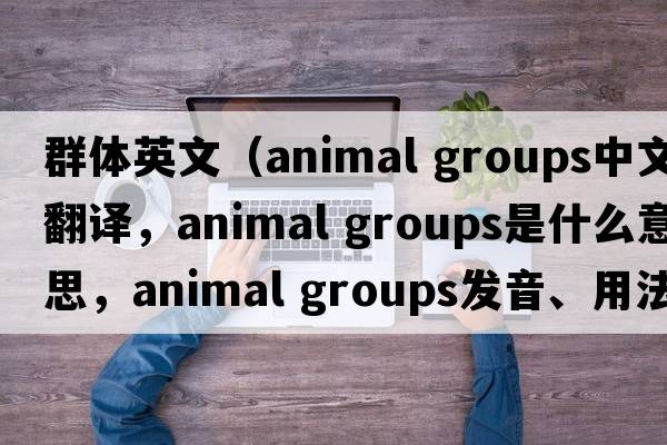 群體英文（animal groups中文翻譯，animal groups是什么意思，animal groups發(fā)音、用法及例句）