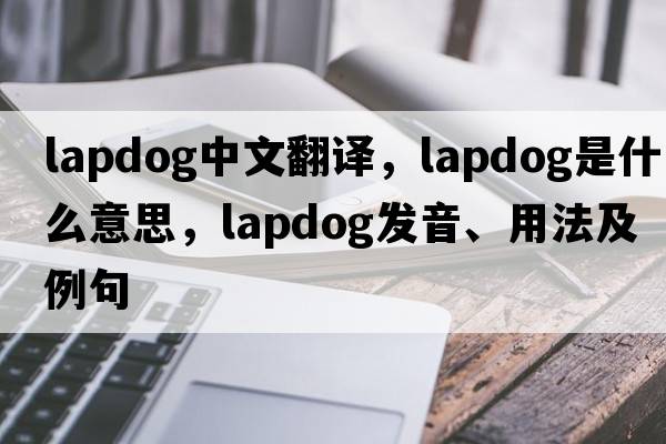 lapdog中文翻譯，lapdog是什么意思，lapdog發(fā)音、用法及例句
