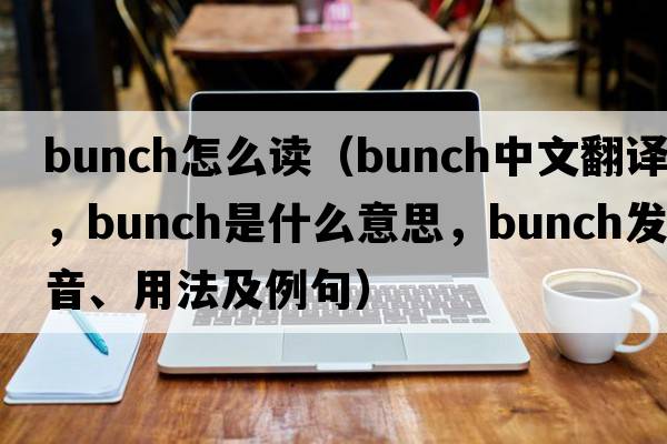 bunch怎么讀（bunch中文翻譯，bunch是什么意思，bunch發(fā)音、用法及例句）