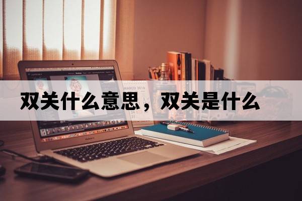 雙關(guān)什么意思，雙關(guān)是什么