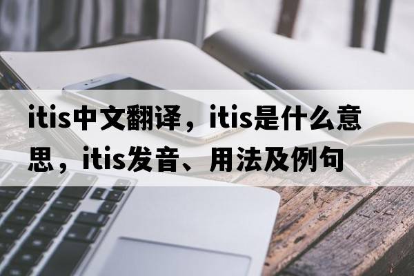 itis中文翻譯，itis是什么意思，itis發(fā)音、用法及例句