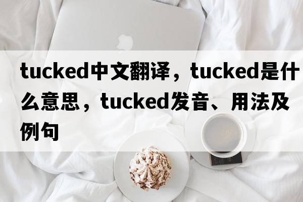 tucked中文翻譯，tucked是什么意思，tucked發(fā)音、用法及例句