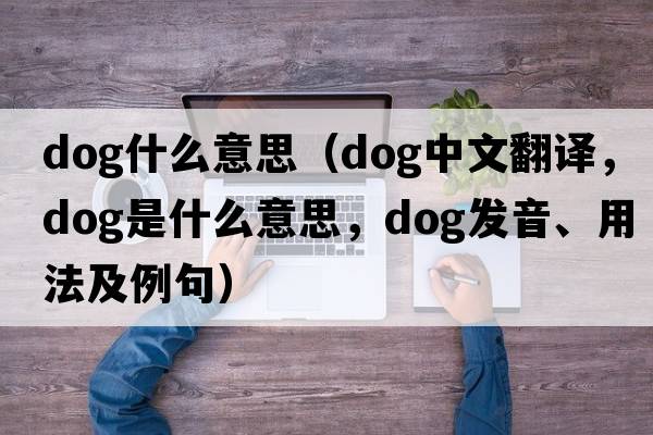 dog什么意思（dog中文翻譯，dog是什么意思，dog發(fā)音、用法及例句）