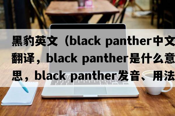 黑豹英文（black panther中文翻譯，black panther是什么意思，black panther發(fā)音、用法及例句）