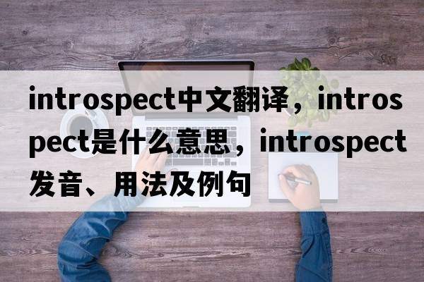 introspect中文翻譯，introspect是什么意思，introspect發(fā)音、用法及例句