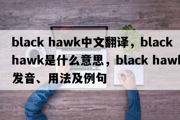 black hawk中文翻譯，black hawk是什么意思，black hawk發(fā)音、用法及例句
