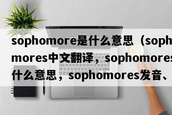 sophomore是什么意思（sophomores中文翻譯，sophomores是什么意思，sophomores發(fā)音、用法及例句）