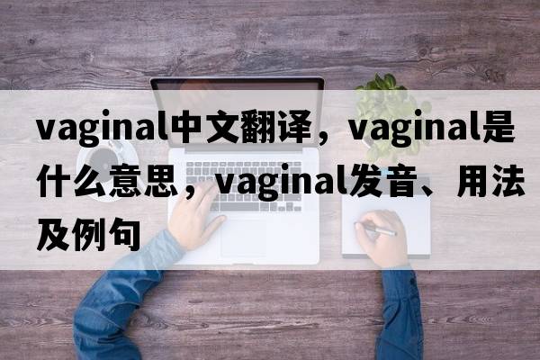 vaginal中文翻譯，vaginal是什么意思，vaginal發(fā)音、用法及例句