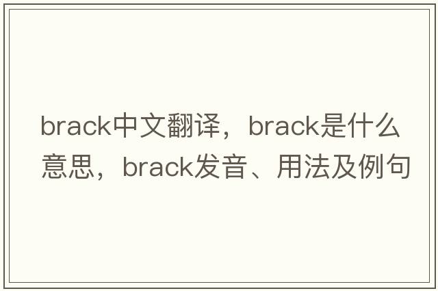 brack中文翻譯，brack是什么意思，brack發(fā)音、用法及例句