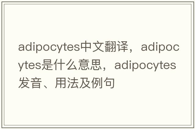 adipocytes中文翻譯，adipocytes是什么意思，adipocytes發(fā)音、用法及例句