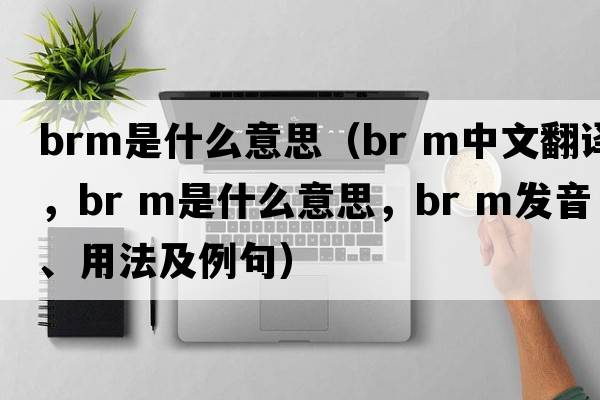 brm是什么意思（br m中文翻譯，br m是什么意思，br m發(fā)音、用法及例句）