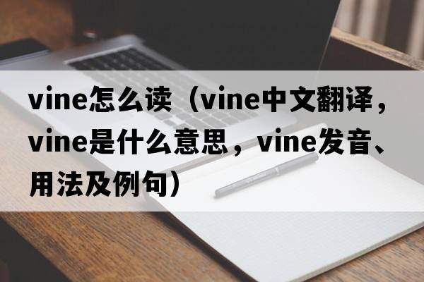 vine怎么讀（vine中文翻譯，vine是什么意思，vine發(fā)音、用法及例句）