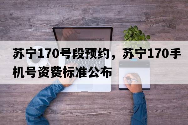 蘇寧170號段預約，蘇寧170手機號資費標準公布
