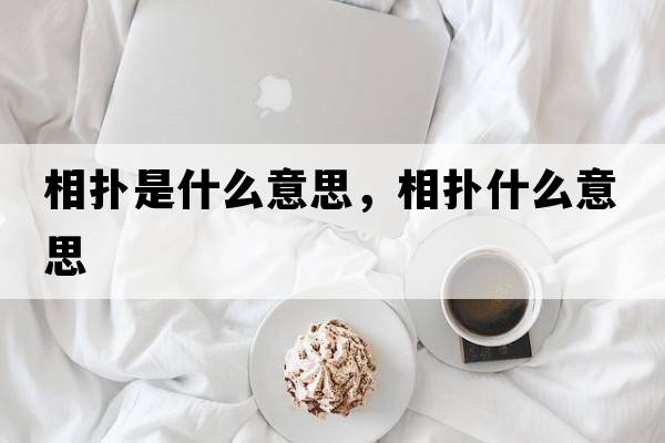 相撲是什么意思，相撲什么意思