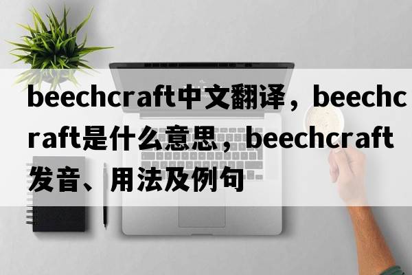 beechcraft中文翻譯，beechcraft是什么意思，beechcraft發(fā)音、用法及例句