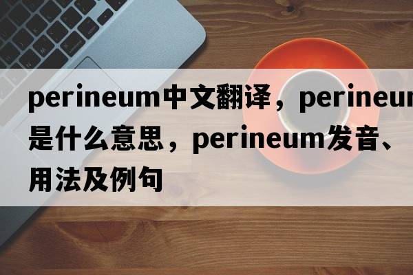 perineum中文翻譯，perineum是什么意思，perineum發(fā)音、用法及例句