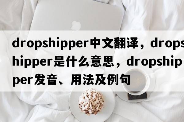 dropshipper中文翻譯，dropshipper是什么意思，dropshipper發(fā)音、用法及例句