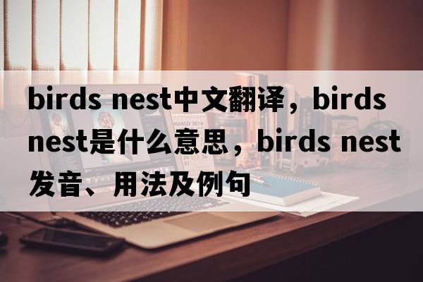 birds nest中文翻譯，birds nest是什么意思，birds nest發(fā)音、用法及例句