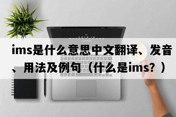 ims是什么意思中文翻譯、發(fā)音、用法及例句（什么是IMS？）