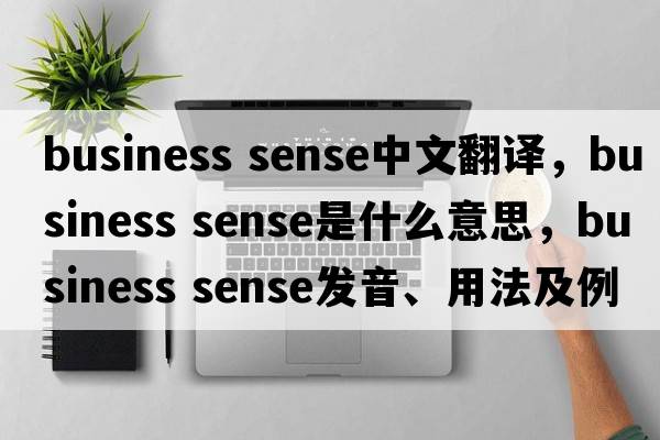 business sense中文翻譯，business sense是什么意思，business sense發(fā)音、用法及例句