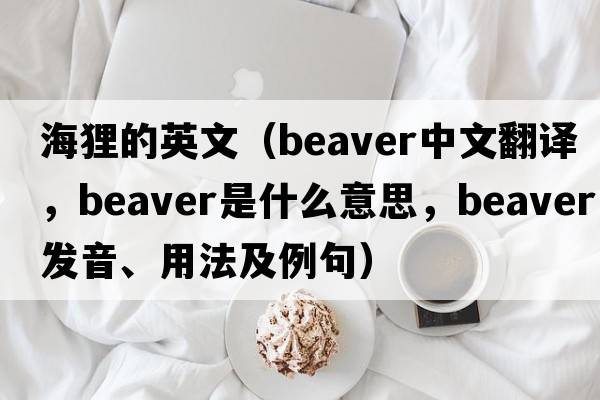 海貍的英文（beaver中文翻譯，beaver是什么意思，beaver發(fā)音、用法及例句）