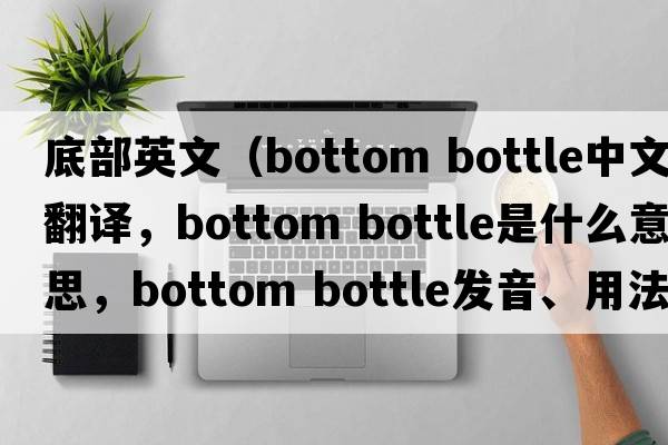 底部英文（bottom bottle中文翻譯，bottom bottle是什么意思，bottom bottle發(fā)音、用法及例句）
