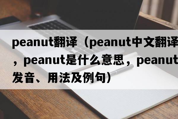 peanut翻譯（peanut中文翻譯，peanut是什么意思，peanut發(fā)音、用法及例句）