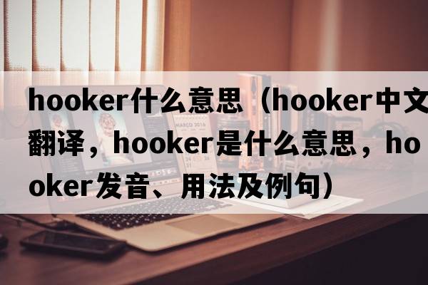 hooker什么意思（hooker中文翻譯，hooker是什么意思，hooker發(fā)音、用法及例句）