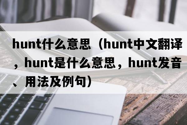 hunt什么意思（hunt中文翻譯，hunt是什么意思，hunt發(fā)音、用法及例句）