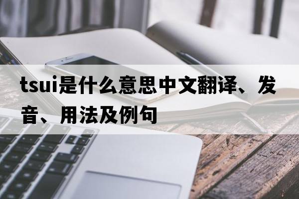 tsui是什么意思中文翻譯、發(fā)音、用法及例句