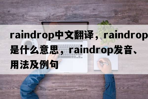 raindrop中文翻譯，raindrop是什么意思，raindrop發(fā)音、用法及例句