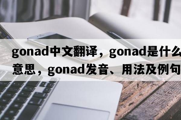 gonad中文翻譯，gonad是什么意思，gonad發(fā)音、用法及例句