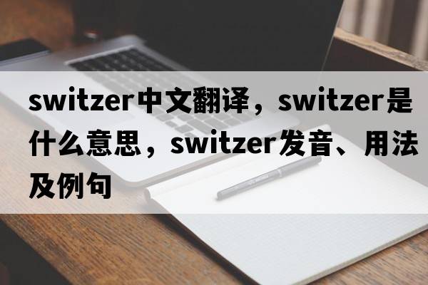 Switzer中文翻譯，Switzer是什么意思，Switzer發(fā)音、用法及例句